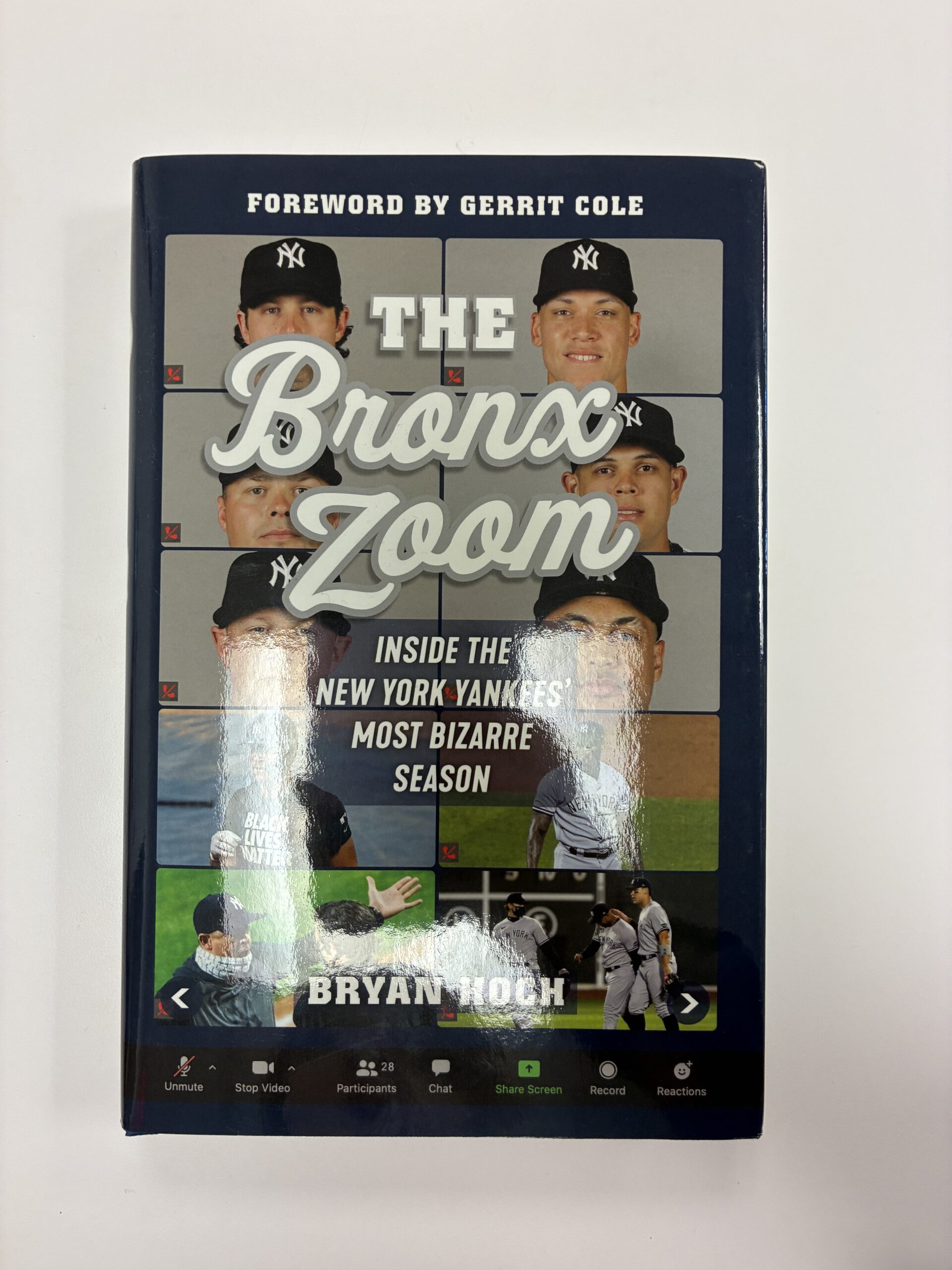 the bronx zoom the bronx zoom